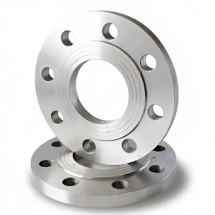 Steel Plate Flange